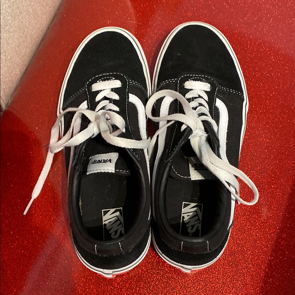 Vans Black and White Canvas Skate Sneakers